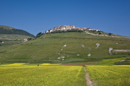 The medieval magic of Italy’s hill towns—a vineyard of your own for less than $100,000