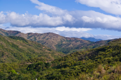 Panama: Where Residency Visas (Still) Grow on Trees