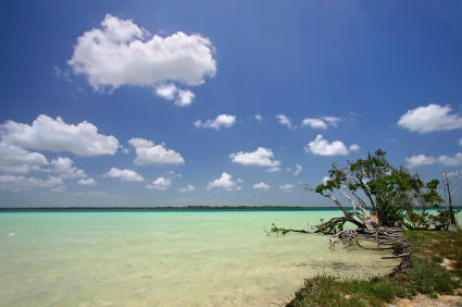 At Lake Bacalar, Mexico, One Woman Seeks Sun and Finds a Calling