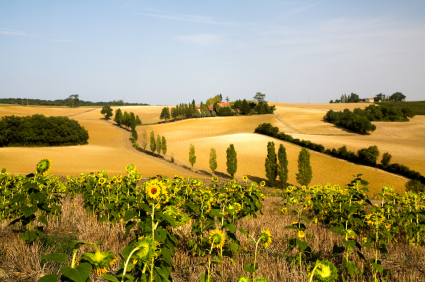 Life Tastes Good in the “French Tuscany”