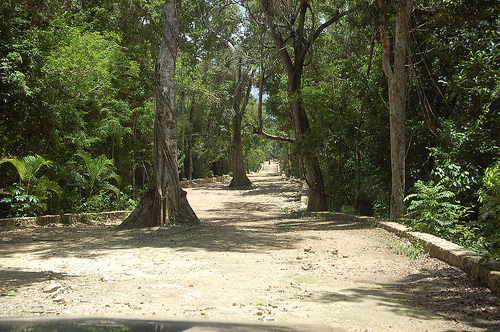 Los Arboles, Tulum: Private Briefing From Las Vegas Meetings