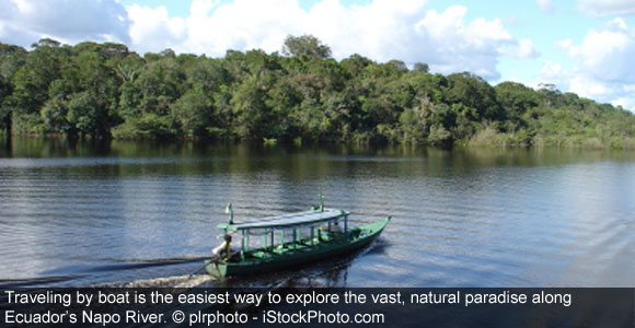 Go Wild on an Amazon River Boat