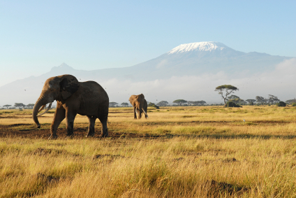 Kilimanjaro is an inactive volcano in northeastern Tanzania and the highest mountain in Africa