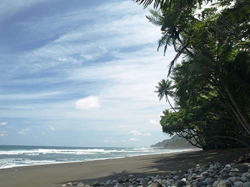 Chill Out in the Southern Zone in Costa Rica
