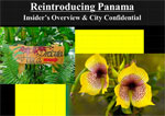 Re-Introducing Panama: An Insider’s Overview & A City Confidential