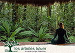 7 Advantages Of Sustainable Living In Los Arboles Tulum