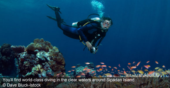 Three Favorite Malaysian Dive Getaways