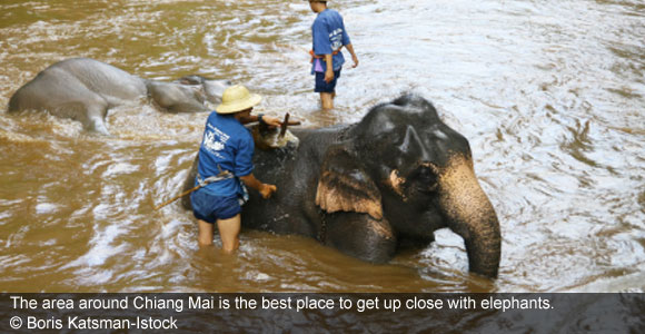 Chiang Mai: Thailand’s Haven in the Hills
