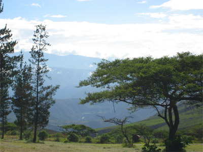 Get Ready for a Deal in one of Ecuador’s Quito Valleys…