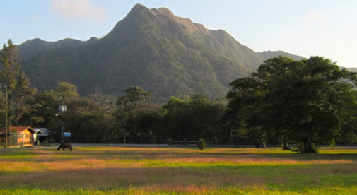 Peaceful and quiet El Valle