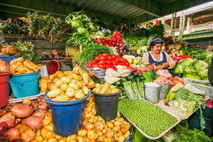 Low Prices and Living Like a Local with Ecuador’s Markets