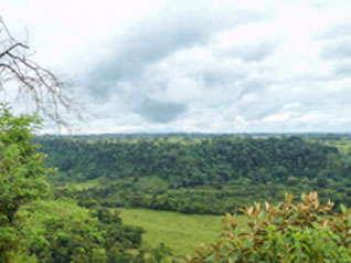 Insider Picks: The Top Four Day Trips in Chiriquí, Panama