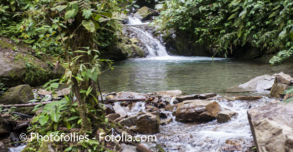 In Harmony with Nature in Mindo, Ecuador