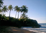 The Beautiful Beaches of the Northern Pacific Coast