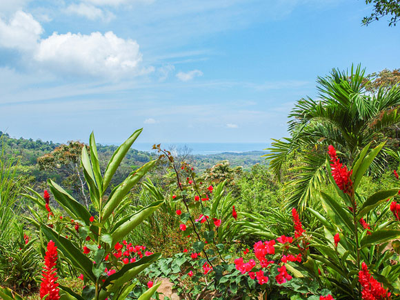 Four Reasons Costa Rica is a Top Destination for Retirees