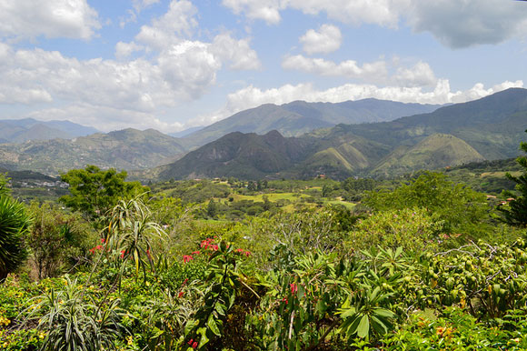 Paradise in Ecuador for Pennies on the Dollar