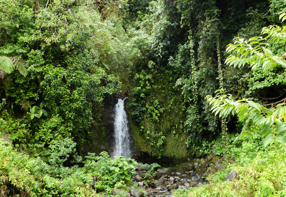 Rent in Panama’s Highlands From $500 a Month