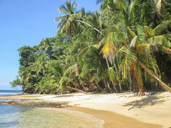 Seven of the Best Beaches in Costa Rica