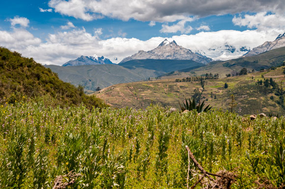 A New Craft Beer Adventure in the Peruvian Andes