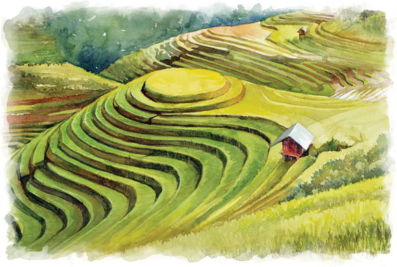 The Road Less Traveled in Mu Cang Chai