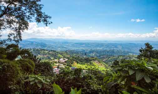 Colombia’s Coffee Triangle: Latin America’s Best-Value Highlands Region: Part One
