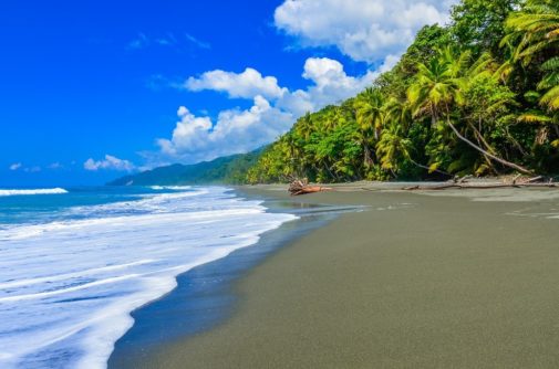 $64,241 per year from Costa Rica’s Southern Zone?