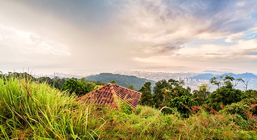 Uncovering Treasure on a Hike Through Penang’s Hills