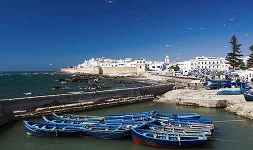 Essaouira: Where Desert Meets Sea Under African Skies
