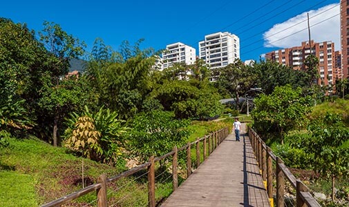 My Own Piece of Paradise: Urban Gardening in Medellín