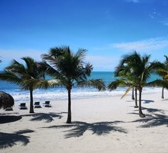 $33,750 in Rental Income: True Beachfront is in Demand