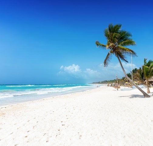 Get Your Special Gran Tulum Briefing Now