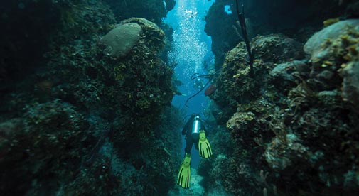 Belize: One of the World’s Best Places to Learn to Dive