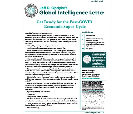 Global Intelligence Letter – May 2021