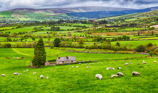 Irish Country Cottages Under $110,000
