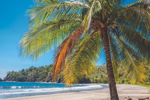 How Can I Find a 1-Month Rental in Tamarindo, Costa Rica?