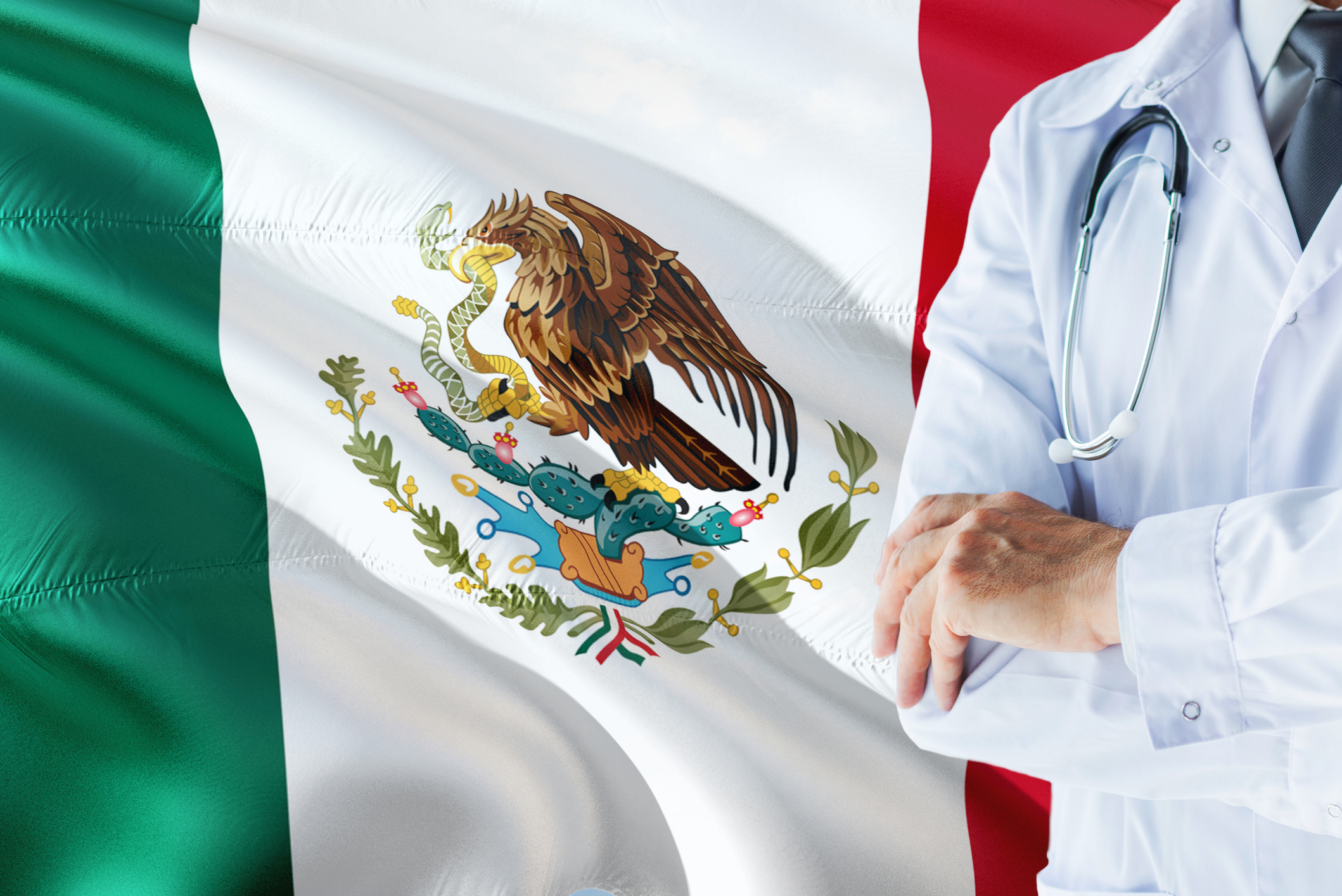 Does Mexico Have Two Public Health Systems