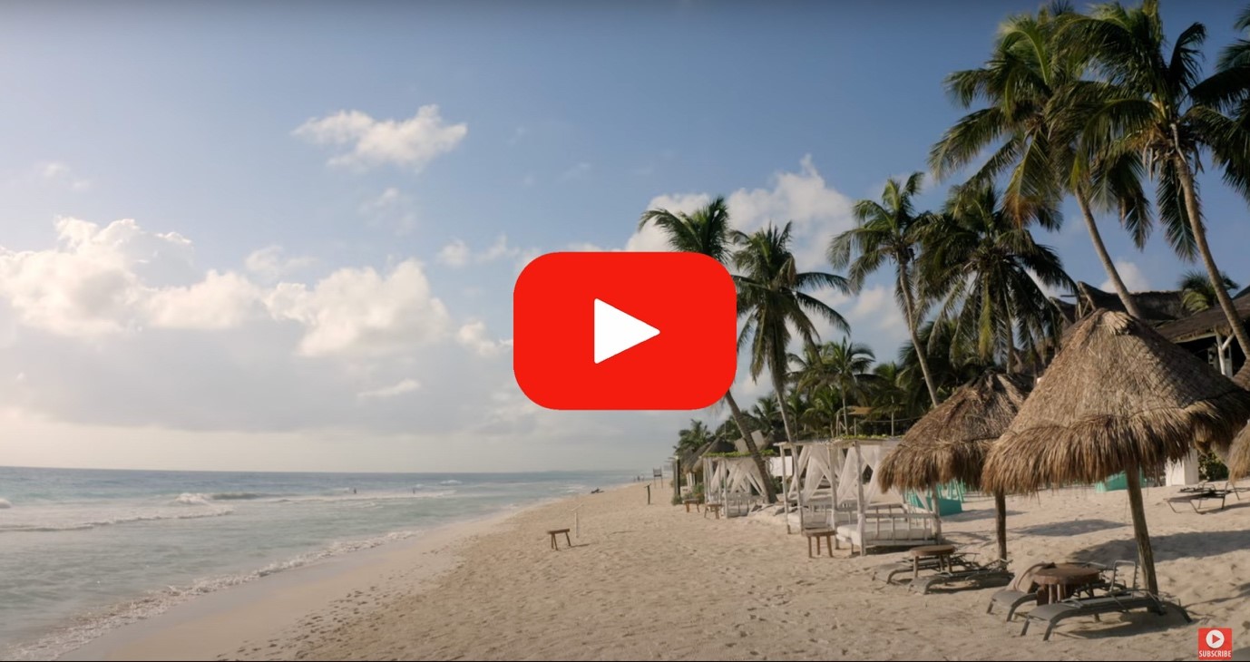 VIDEO | The People Are Going to Tulum