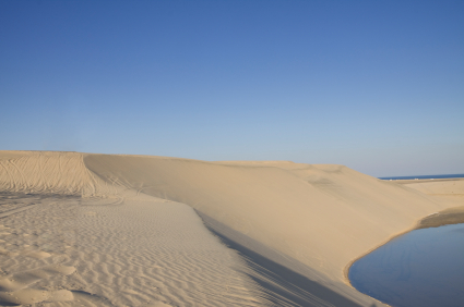 Desert adventures in Qatar