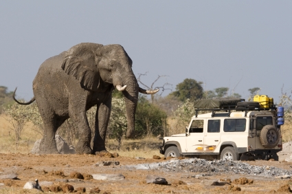 Not Just Your Average African Safari—Adventures of a Wheelchair-bound Traveler