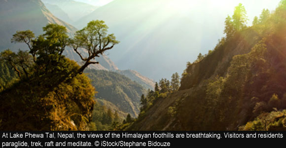 Adventurous Life in a Himalayan Town