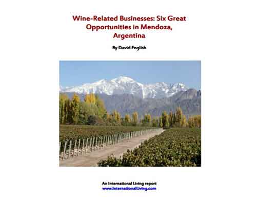 Wine-Related Businesses: Six Great Opportunities in Mendoza, Argentina