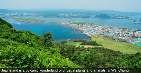 Jeju Island—South Korea’s Natural Paradise