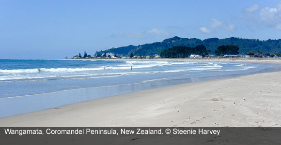 IL’s Guide to Visa and Residency in New Zealand
