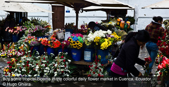 News & Notes from Around the World…Ecuador’s Markets