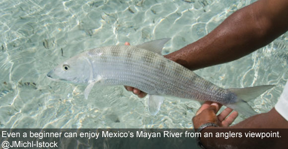 A Fly-Fishing Trifecta on the Mayan Riviera