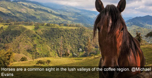 An Unhurried Country Life in Colombia’s Coffee Region