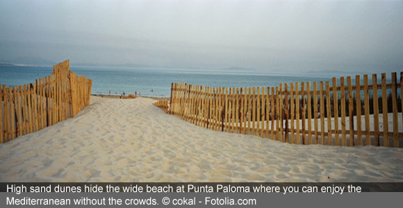 Punta Paloma: Southern Spain’s Most Unspoiled Beach