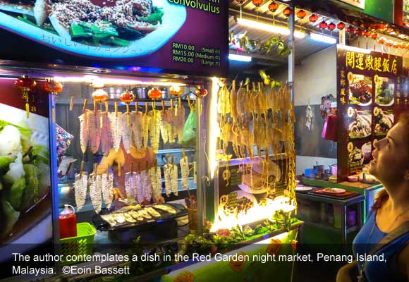 Eat Gourmet at Street Stalls in Southeast Asia’s Foodie Capital