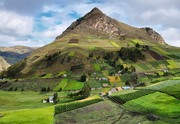How to Find Your Perfect Organic Farm in Ecuador’s Andes