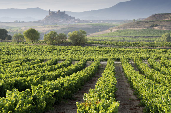 An Affordable European Lifestyle in Spanish Wine Country